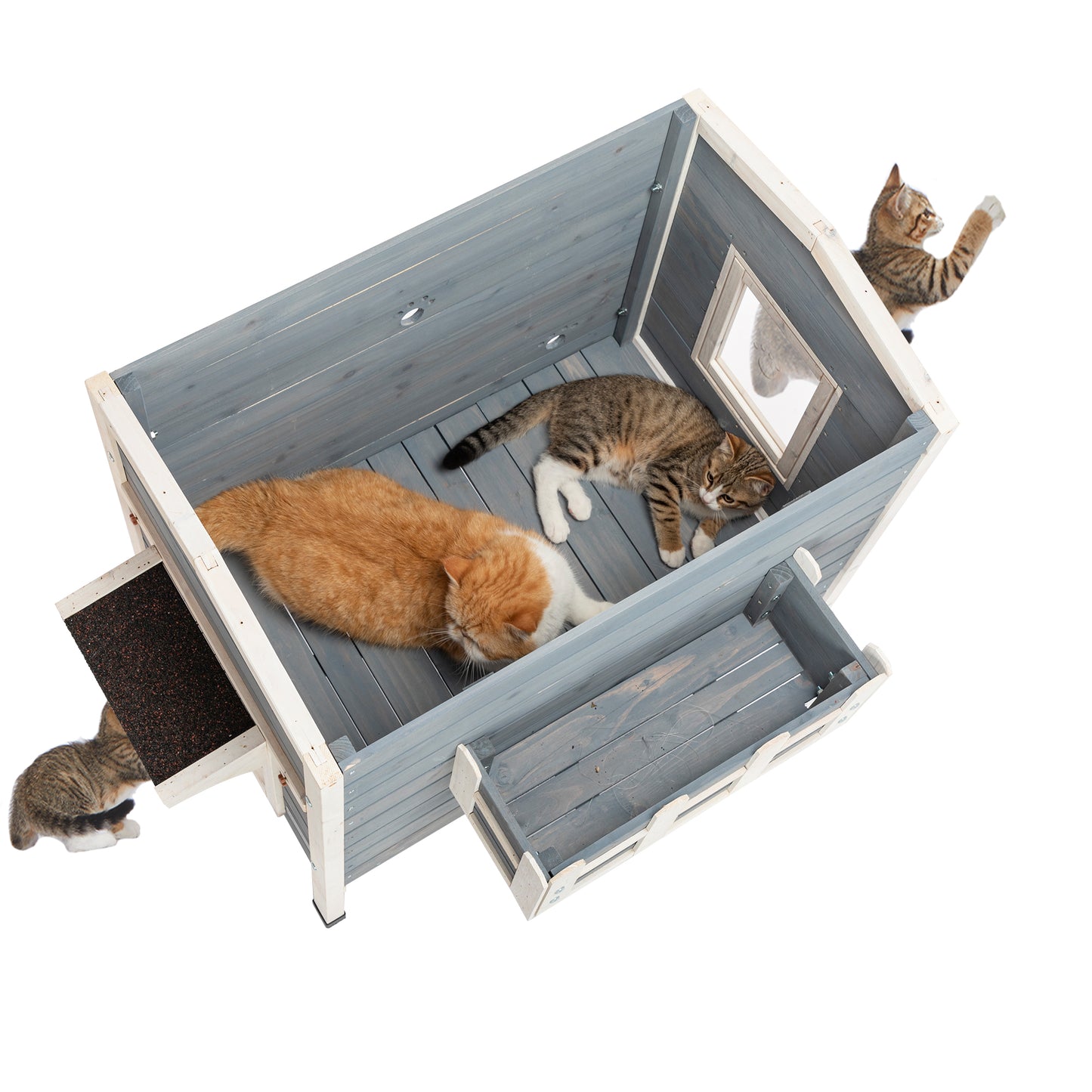 Feral Cat House, Larger Design for 3 Adult Outdoor Cats Weatherproof